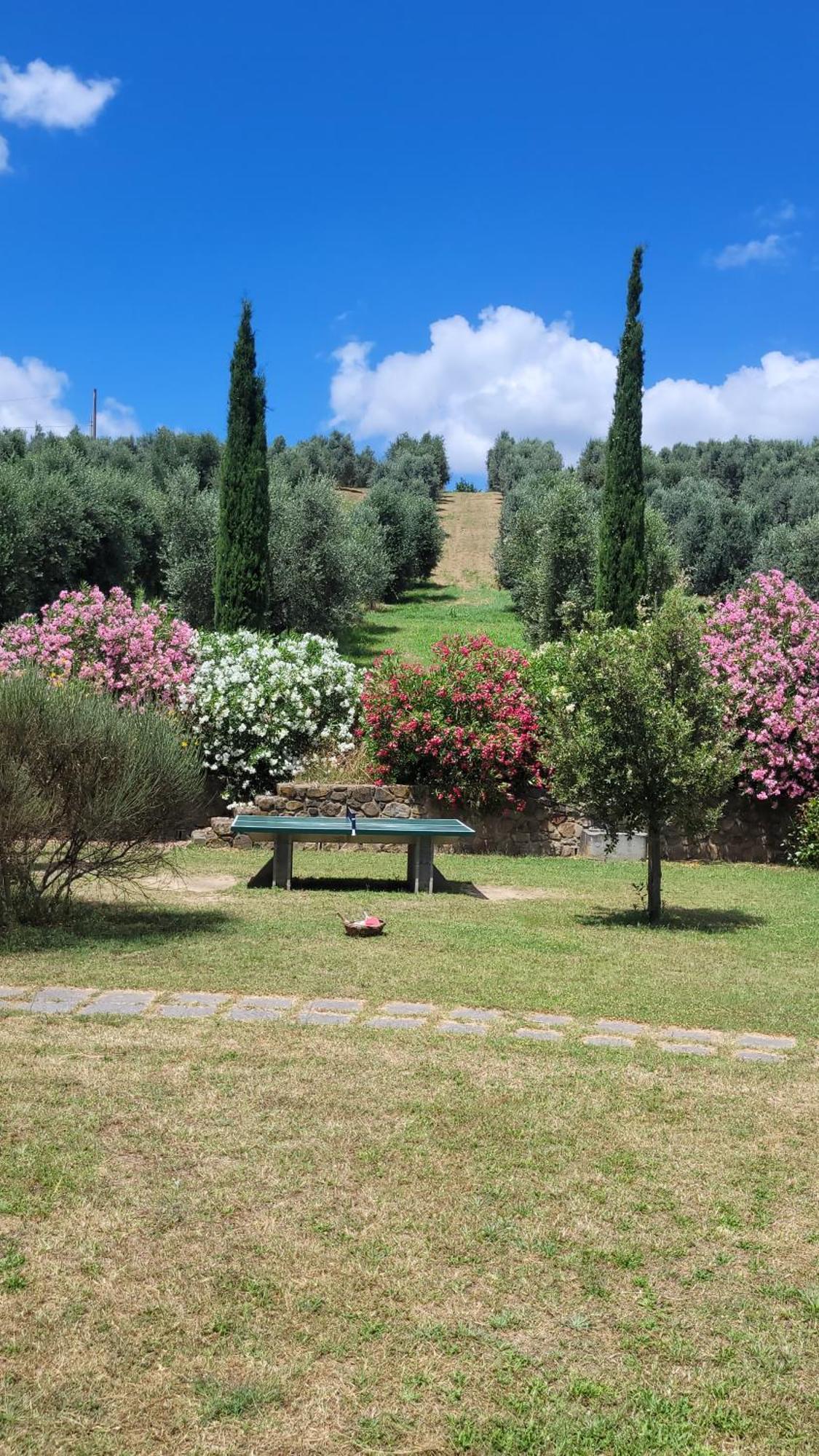 Agriturismo Podere Casalone Limite Экстерьер фото